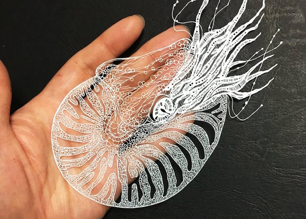 激光切割銅板紙1 激光切割銅板紙與刀模切割的深入比較?(圖1)